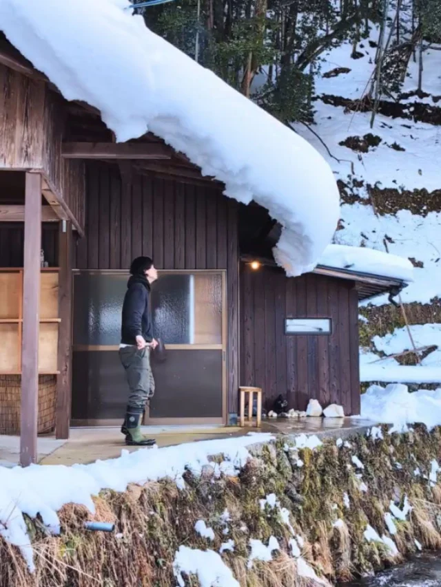 今週はずーっと雪☃️
集落は一昨日くらいから凄い量の雪が降ってます
来週くらいまで積もっていると思うので雪ダイブもできますよ！！
ご予約はプロフィールからお願いします📝

ご予約時の注意点🙋
道路も積雪、凍結しているためスタッドレスタイヤは必ずつけてお越しください。
基本的には除雪がされている大通りを使ってお越しください。万が一危険と思われた場合は、安全を優先していただき遠慮なくご連絡ください🙇

#アウトドアサウナ
#京都サウナ
#貸切サウナ
#川サウナ
#丹後旅行